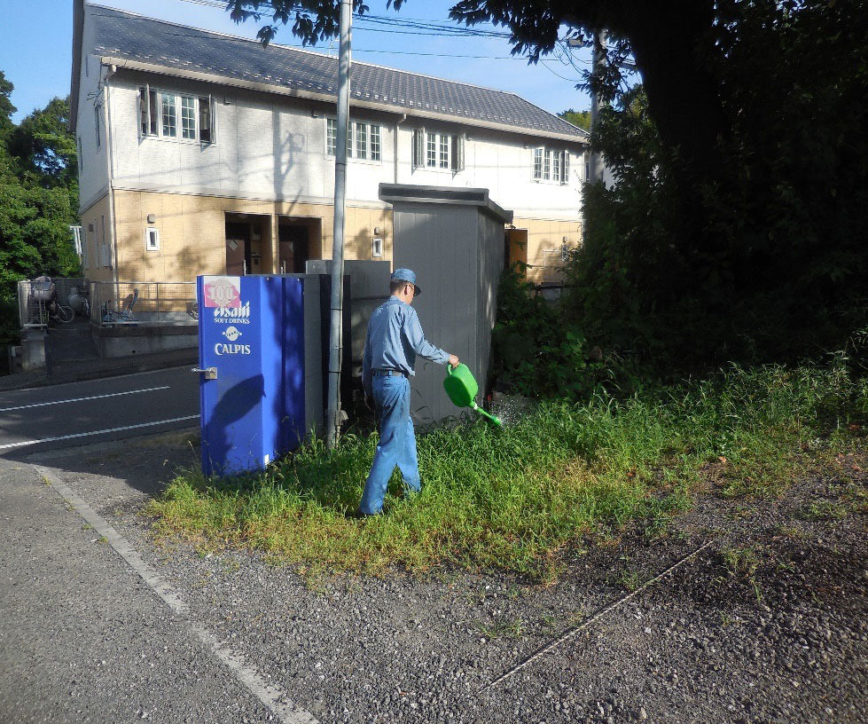 地域清掃｜除草作業