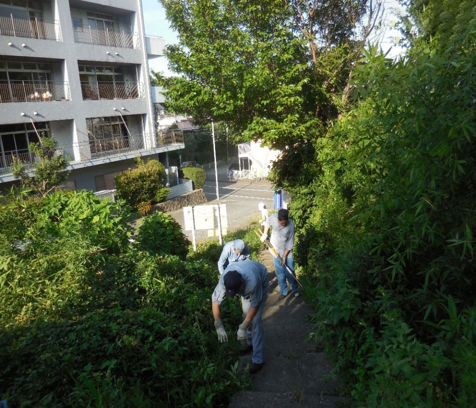 地域清掃｜除草作業